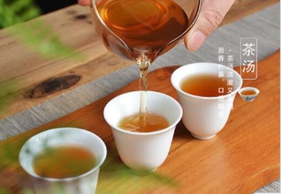 Tylin został opracowany przez krzyżowanie z Tea Research Institute of Fujian Academy of Agricultural Sciences z tieguą