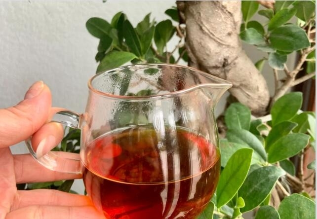 Tylin został opracowany przez krzyżowanie z Tea Research Institute of Fujian Academy of Agricultural Sciences z tieguą